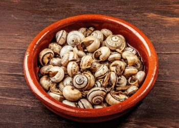 Caracóis à Alentejana