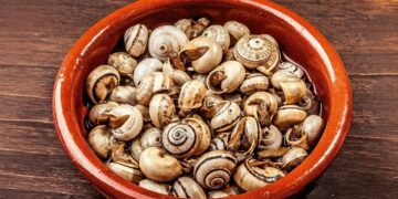 Caracóis à Alentejana