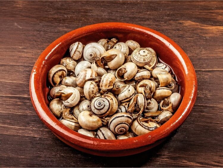 Caracóis à Alentejana