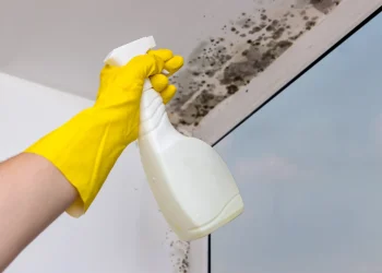 Paredes com bolor? Saiba como resolver e prevenir o problema de forma simples